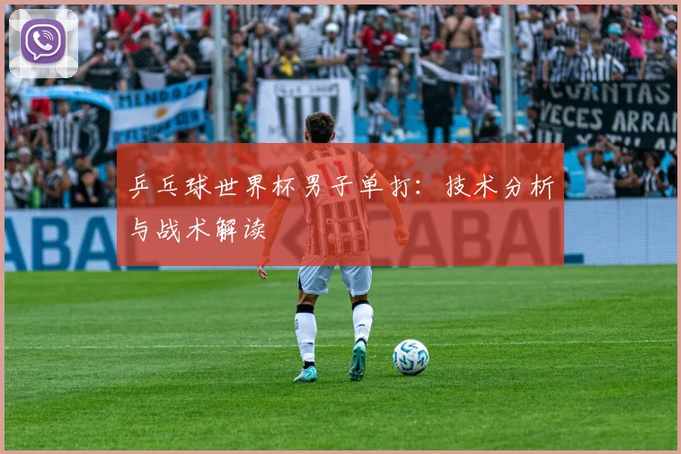 乒乓球世界杯男子单打：技术分析与战术解读
