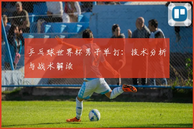 乒乓球世界杯男子单打:技术分析与战术解读